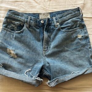 Everlane Classic Blue Denim Jeans